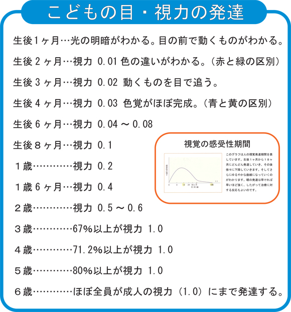 視力の発達